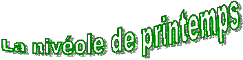 La perce-neige